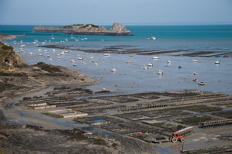 Bretagne 09-2012 D35_0762 als Smart-Objekt-1 Kopie.jpg - Oberhalb von Cascale hat man bei Ebbe einen fantastischen Blick auf die Austernbänke .